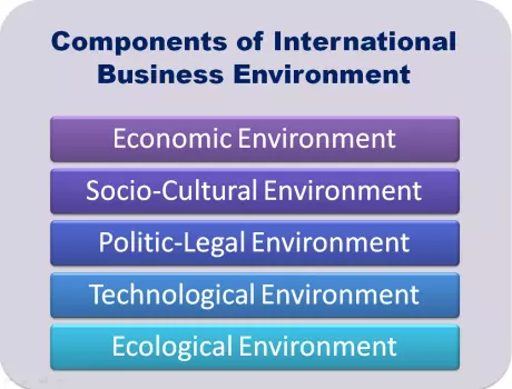 Components of International Business Environment