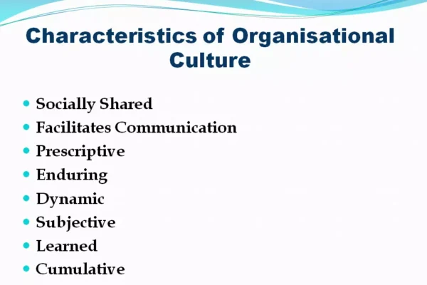 Characteristics of Organisational Culture