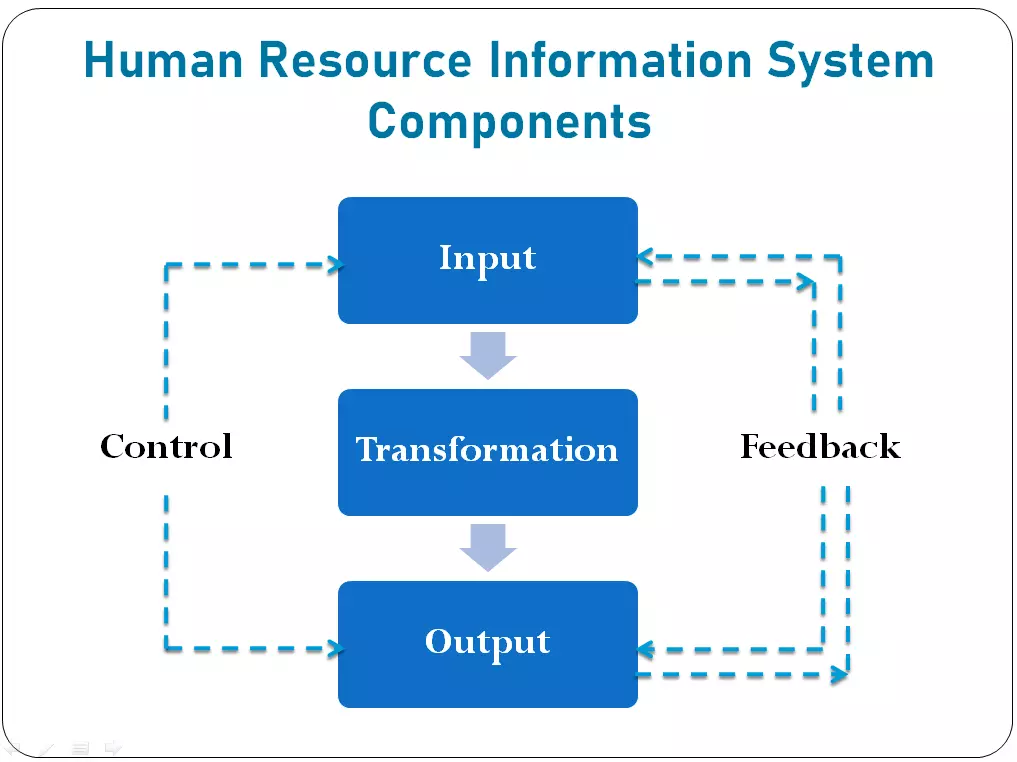 Human Resource Information System Components