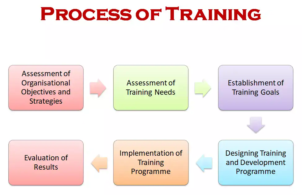 Process of Training