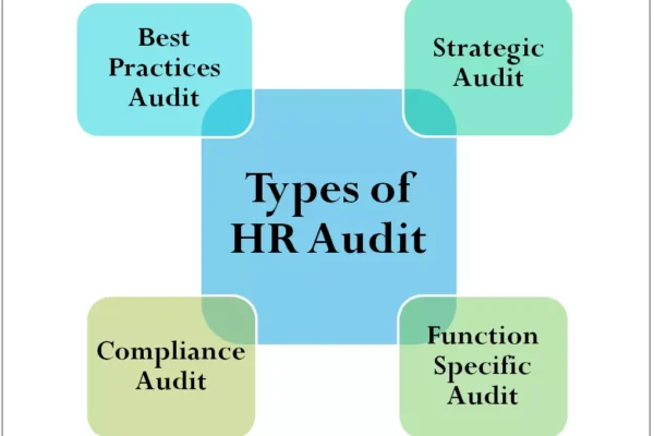 Types of HR Audit